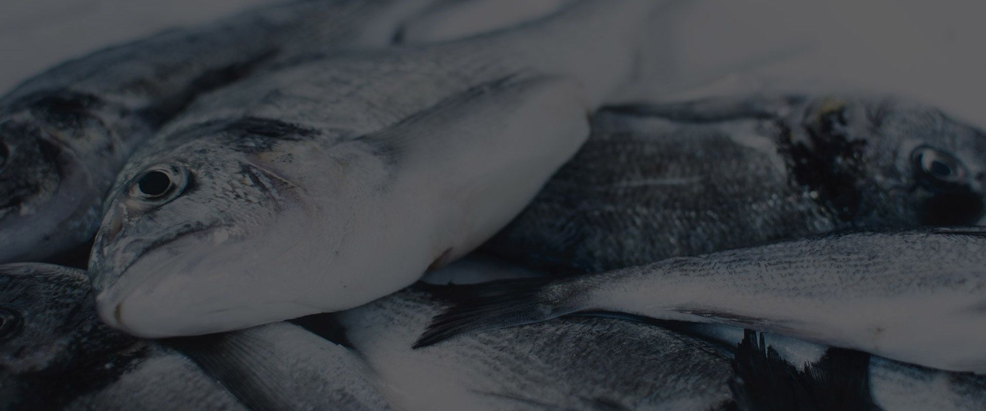 ASR Group Integrated food suppliers